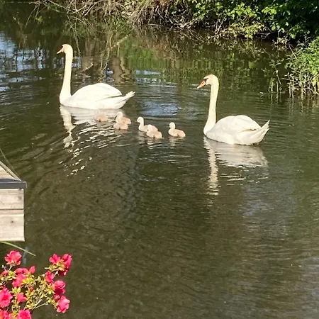 Cote Riviere Apartman