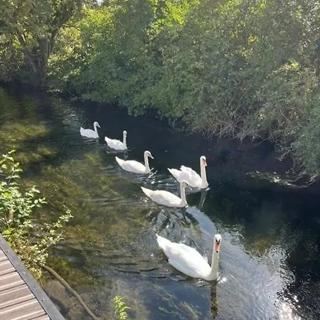 Cote Riviere *