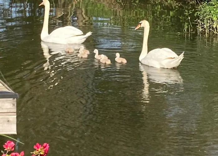 Cote Riviere Apartmán